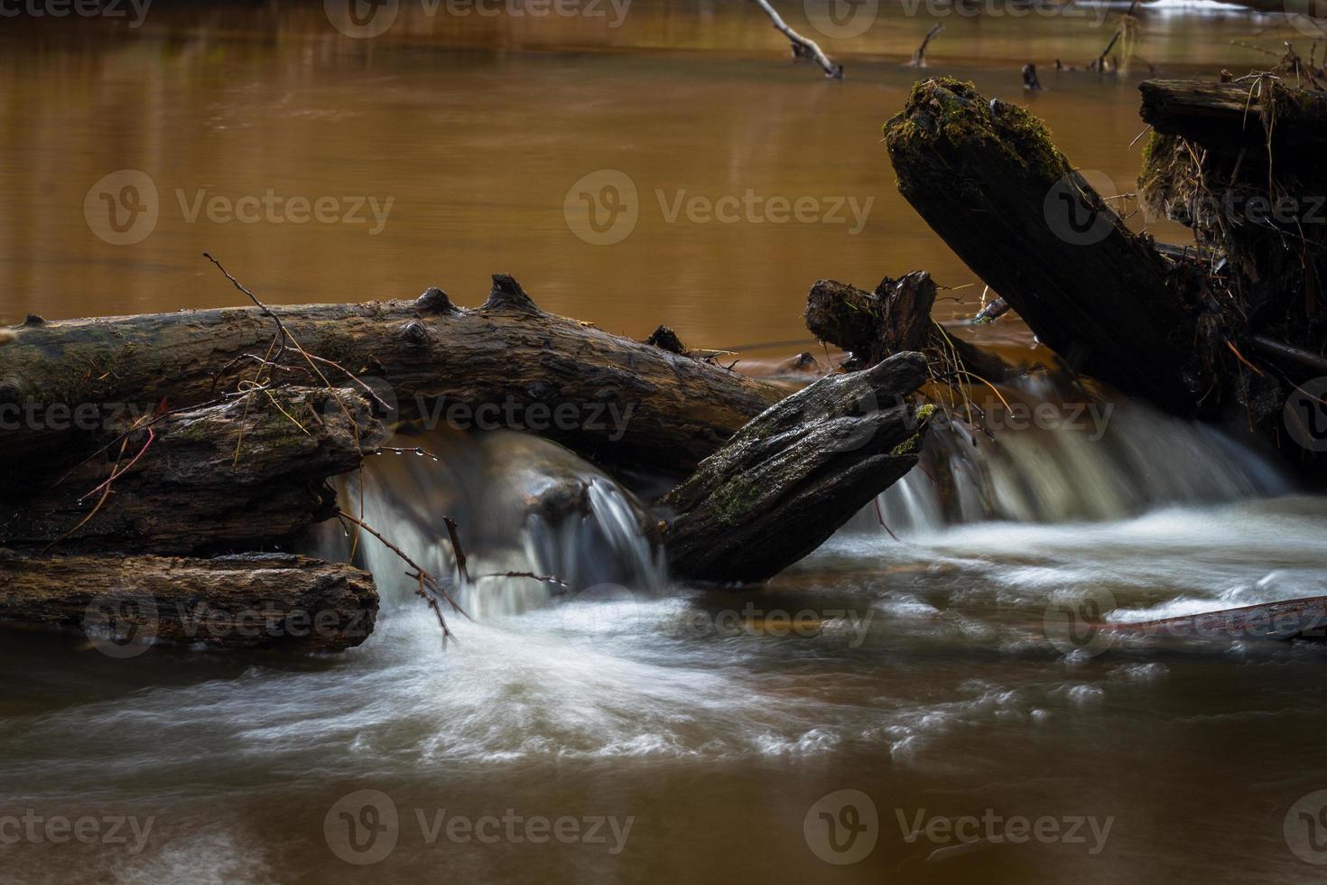 pequeño río forestal a principios de la primavera foto