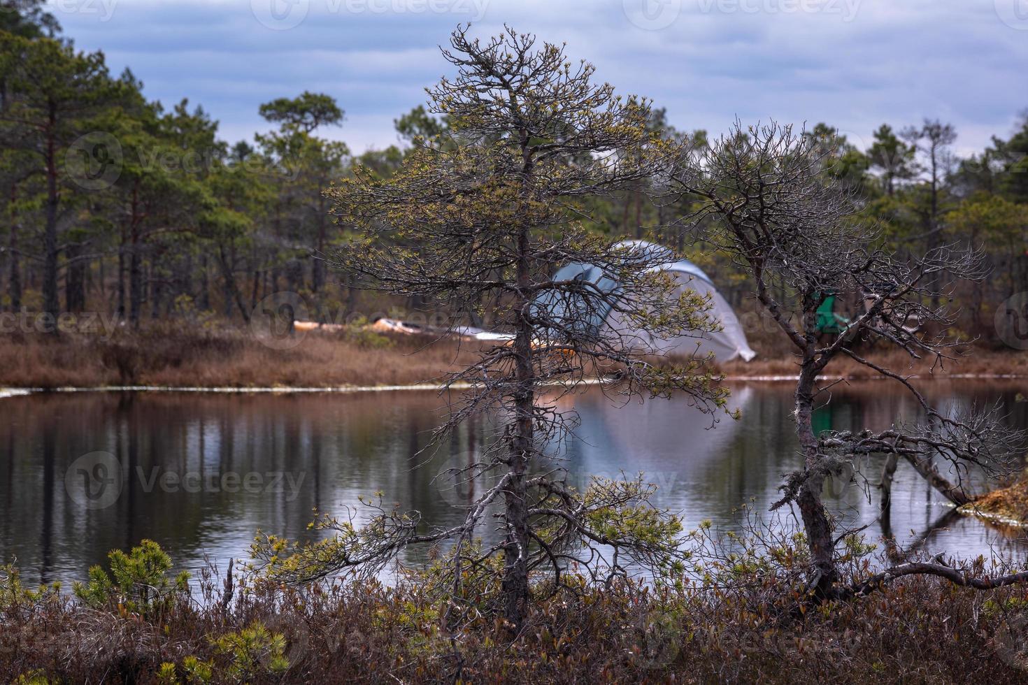 Camping and Tenting by the Lake photo