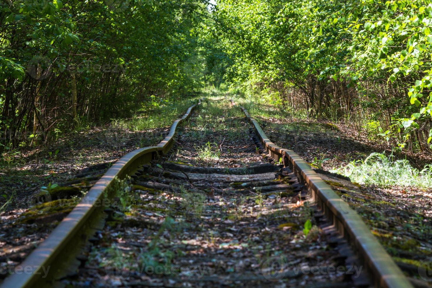 Old Railway Cars and Tracks photo