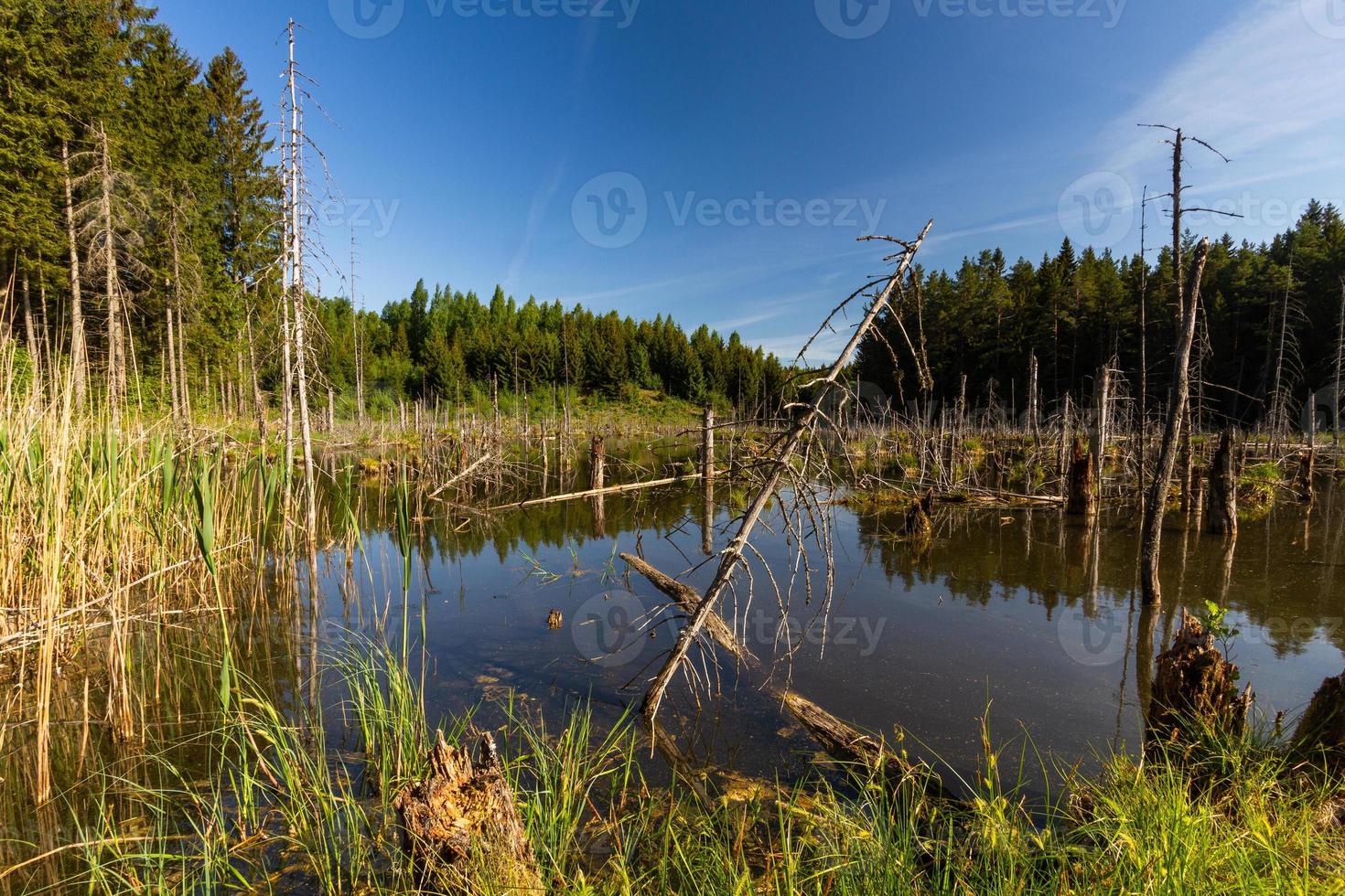 Landscapes From the Latvian Countryside in Spring photo