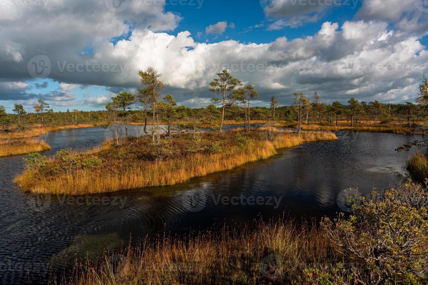 Autumn Day at the Swamp Lake photo