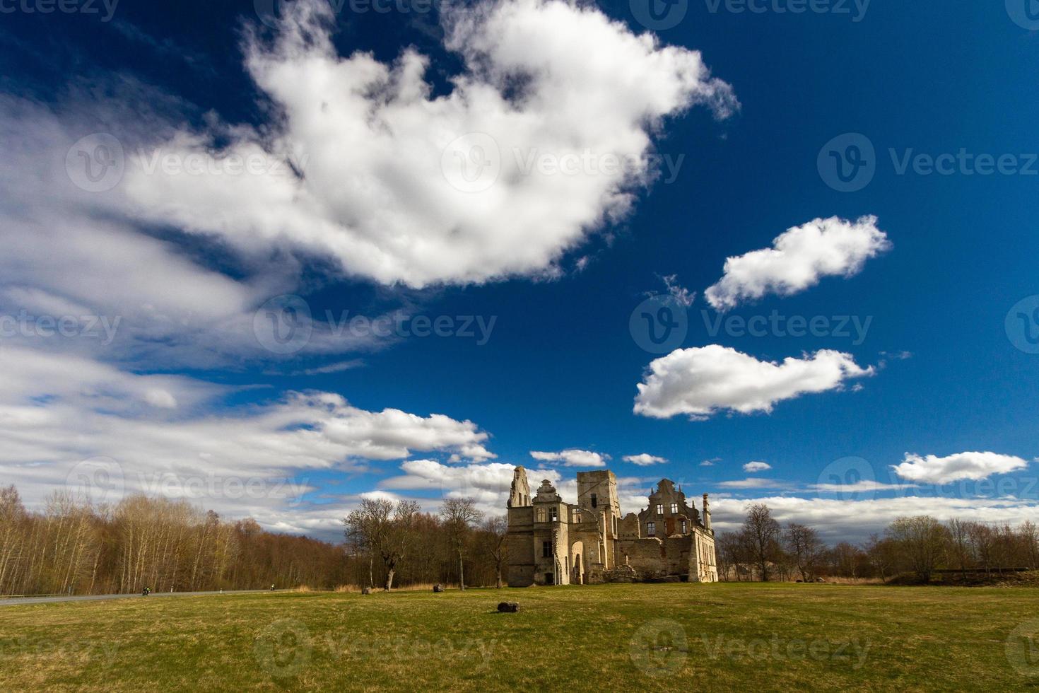 Manor Ruins in Estonia on a Sunny Day photo