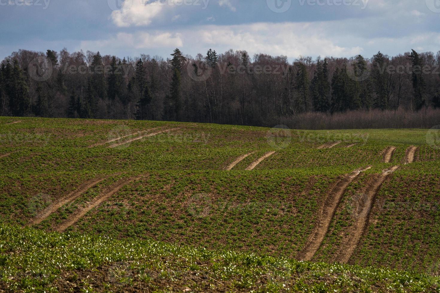 Spring Landscapes With Clouds photo