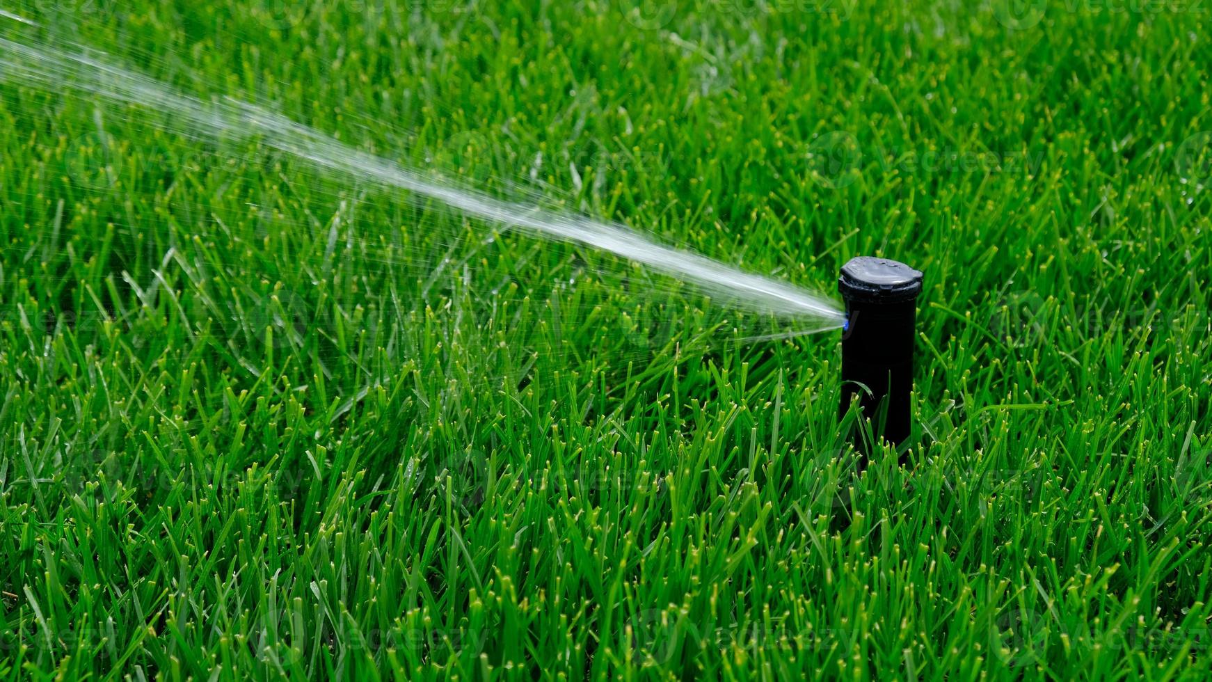 Automatic garden irrigation system watering lawn. Savings of water from sprinkler irrigation system with adjustable head. Automation for lawn irrigation, gardening, soccer fields or golf courses. photo