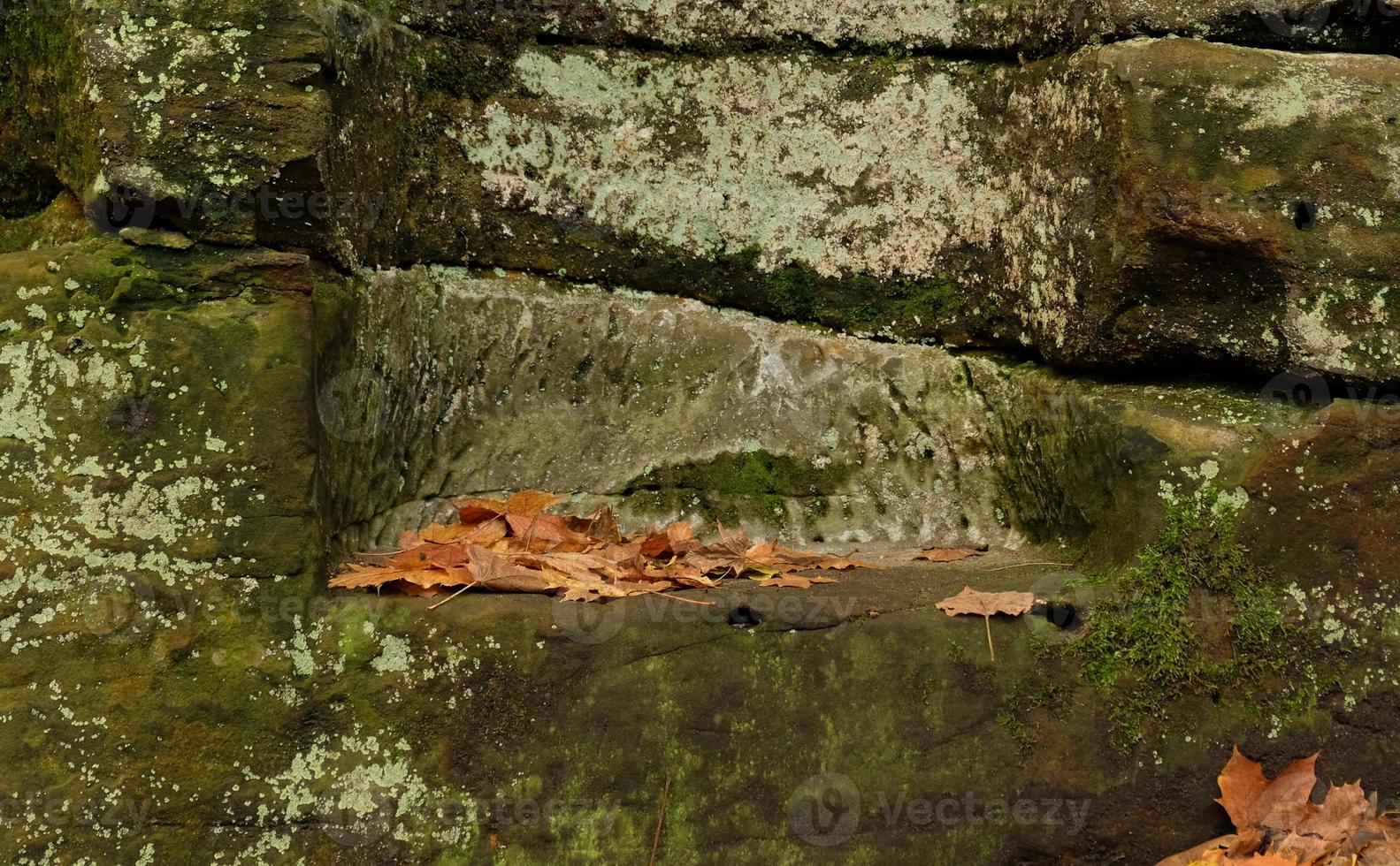 Green moss on natural stone podium with fern leaves, yellow fall leaves, autumn forest background for presentation of goods and cosmetics. Natural stand for presentation and exhibitions. photo