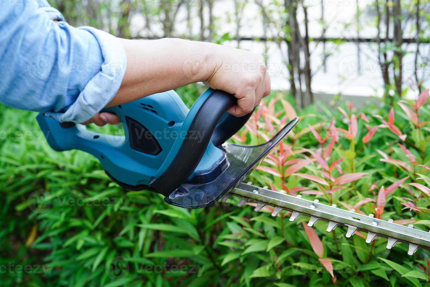 Gardener trimming bush by electric hedge clippers in garden. Hobby at home. photo
