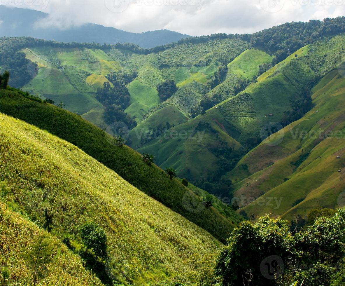 Beautiful mountain view of north Thailand in winter,journey Road trip holiday,Tourism and travel concept, Fresh and relaxed type nature. photo