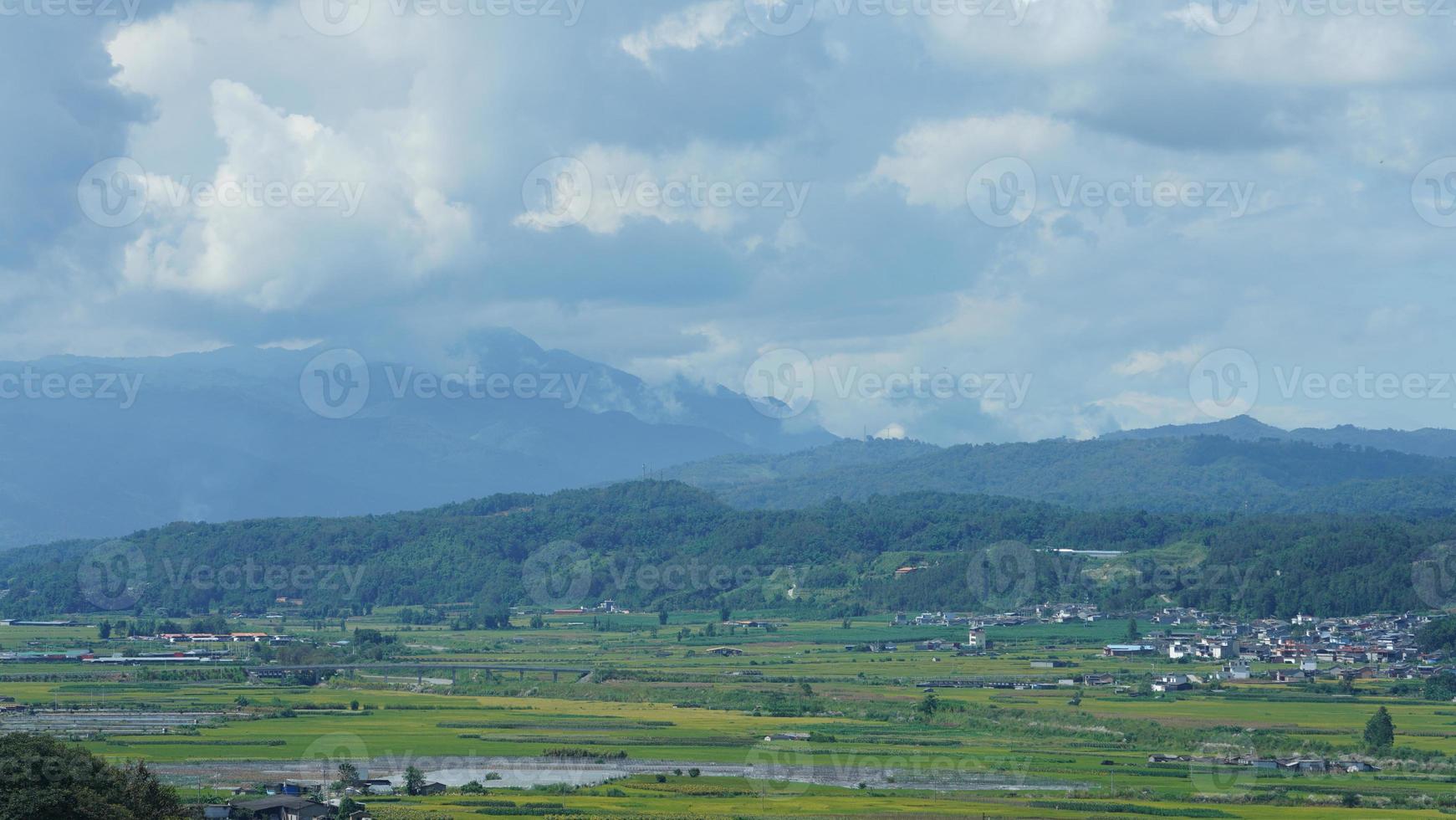The harvesting yellow rice field view located in the valley among the mountains with the cloudy sky as background photo