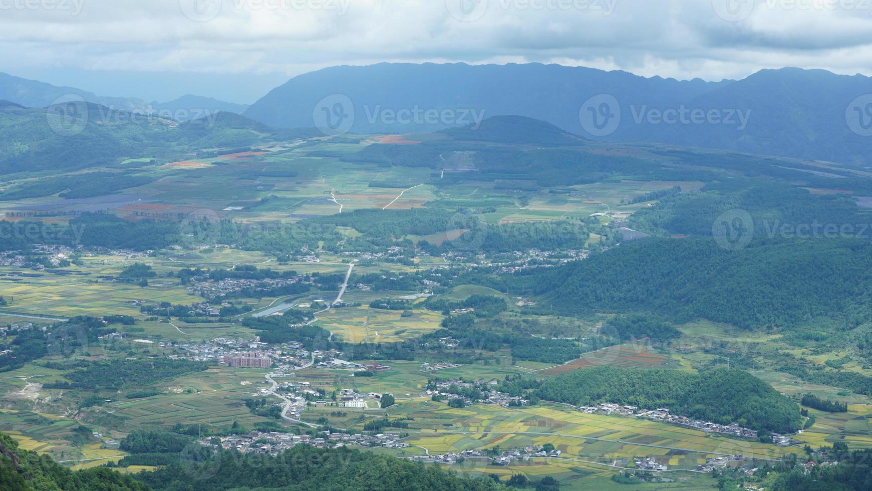 The harvesting yellow rice field view located in the valley among the mountains with the cloudy sky as background photo