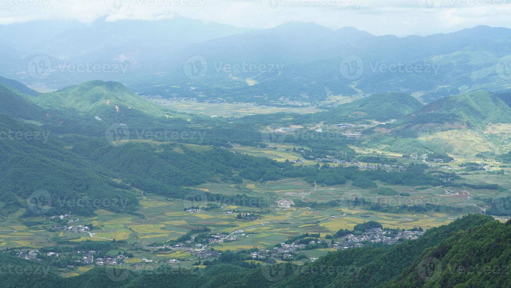 The harvesting yellow rice field view located in the valley among the mountains with the cloudy sky as background photo