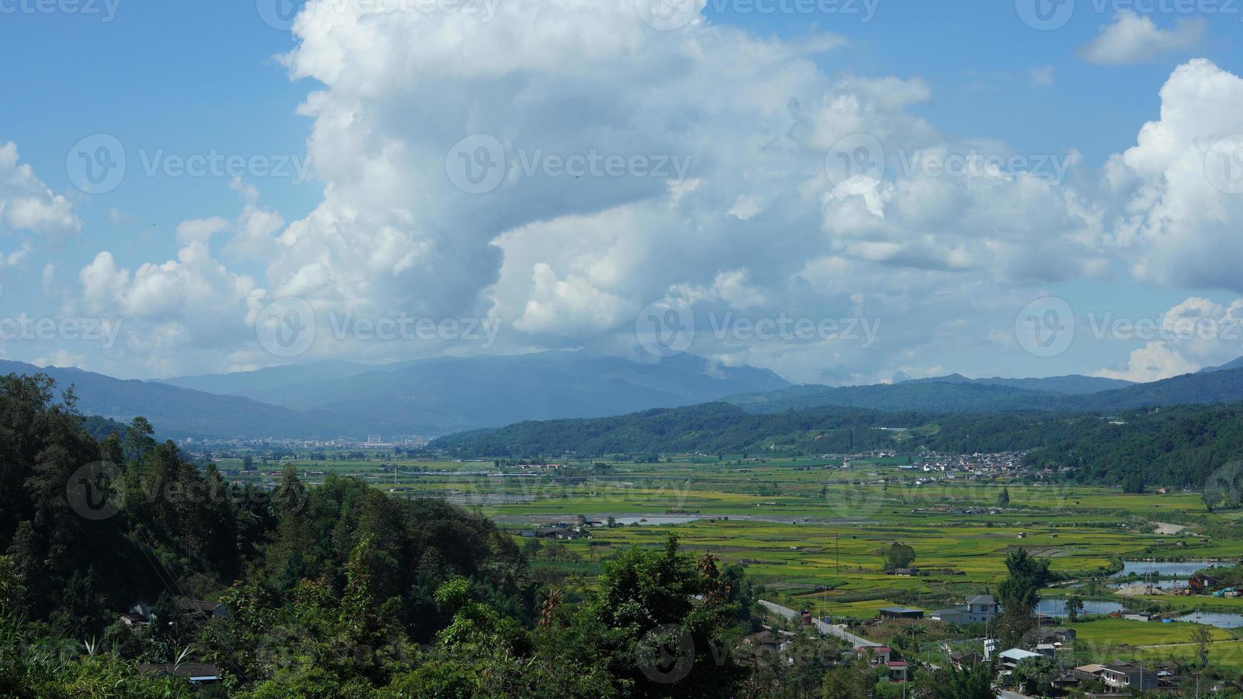 The harvesting yellow rice field view located in the valley among the mountains with the cloudy sky as background photo