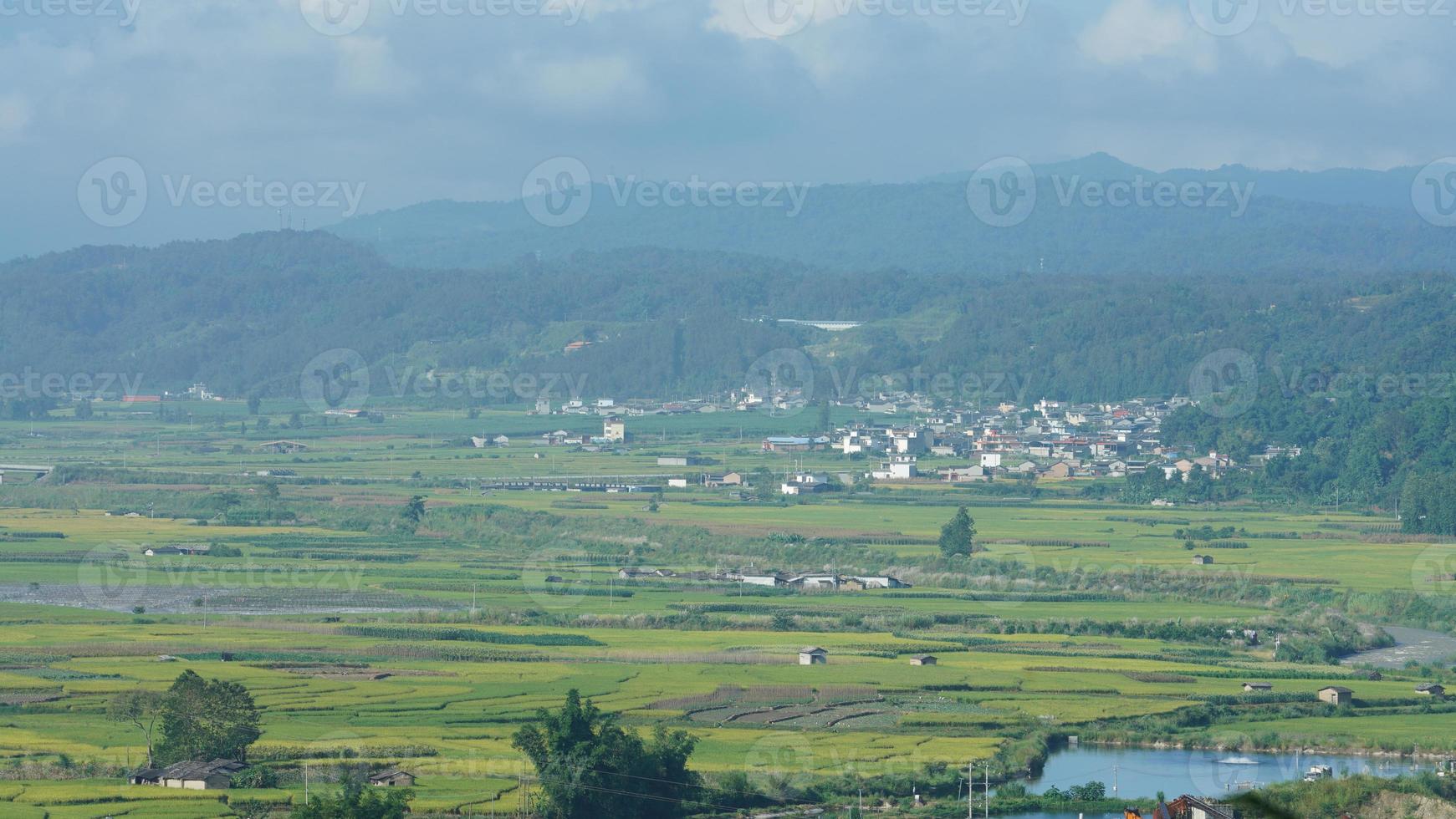 The harvesting yellow rice field view located in the valley among the mountains with the cloudy sky as background photo