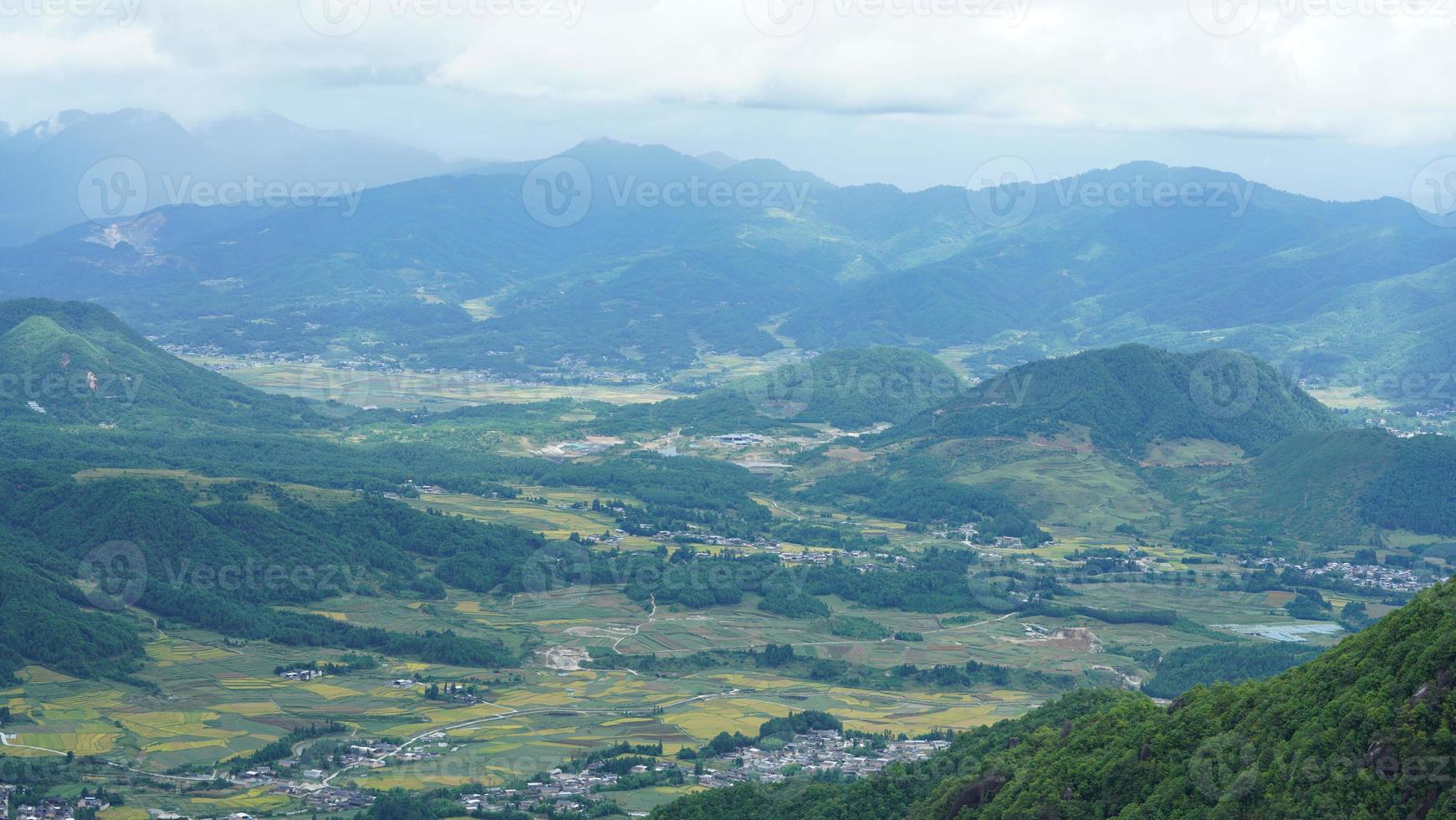 The harvesting yellow rice field view located in the valley among the mountains with the cloudy sky as background photo