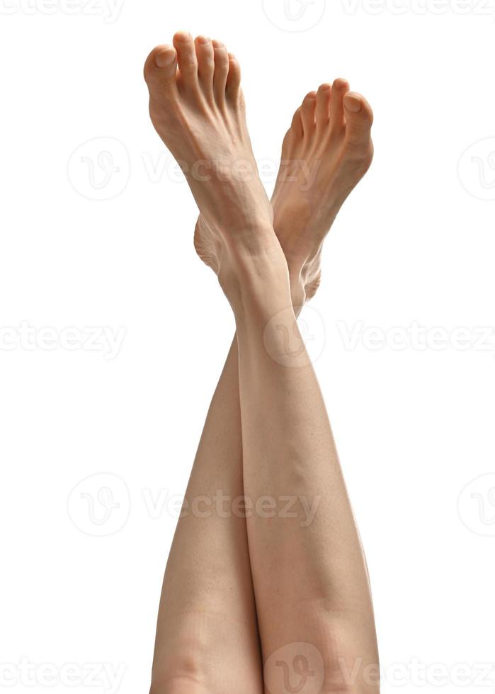 beautifully groomed female legs on a white background photo