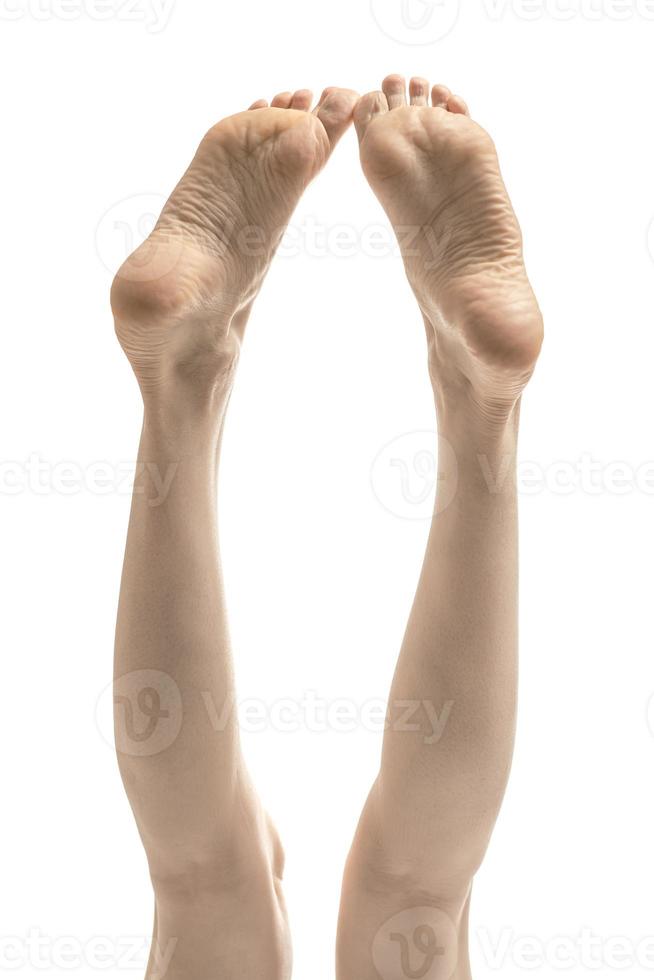 beautifully groomed female legs on a white background photo