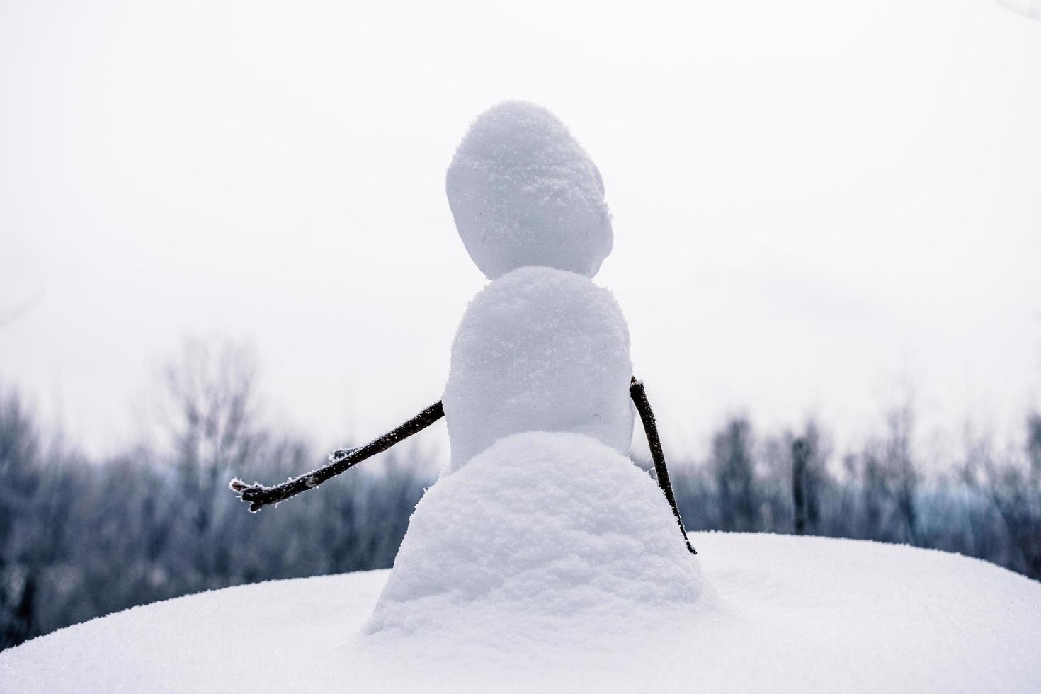 muñeco de nieve en miniatura con tema de invierno foto