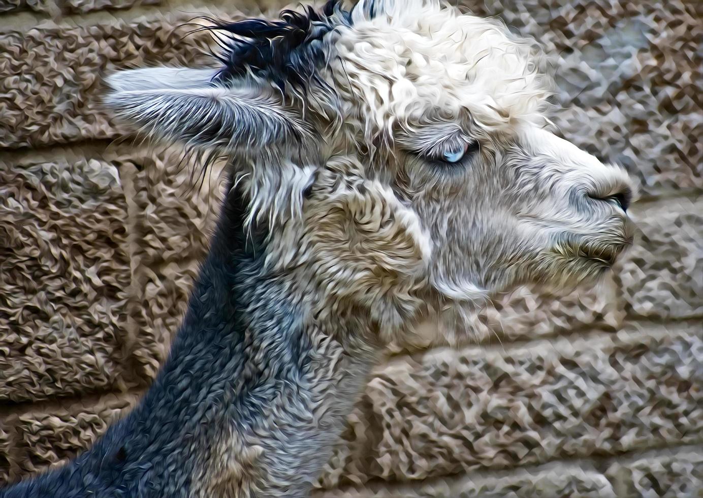 digital art portrait of alpaca with blue eyes with brick background photo