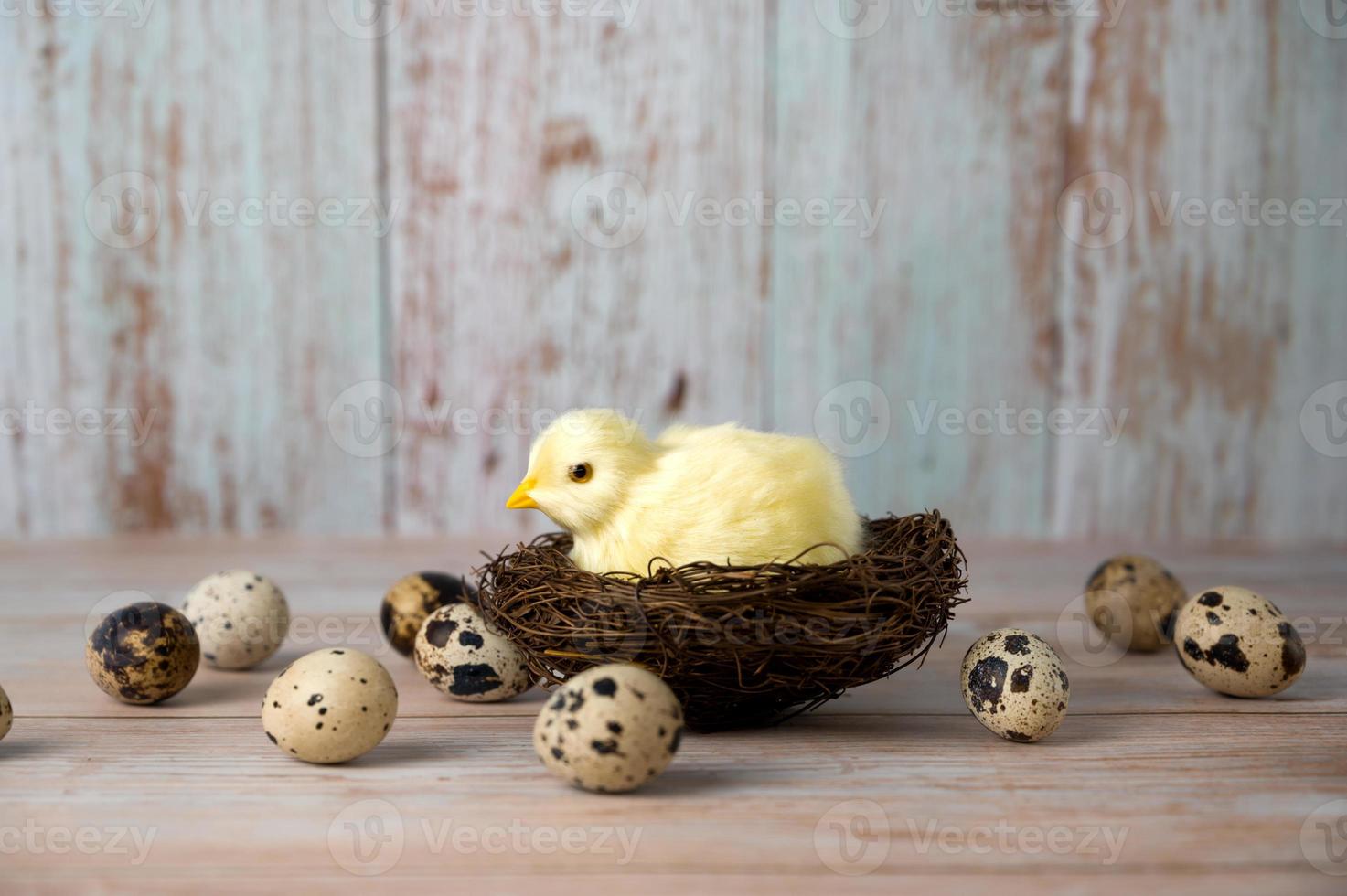 Easter greeting card with yellow chicken in the nest. Place for text photo