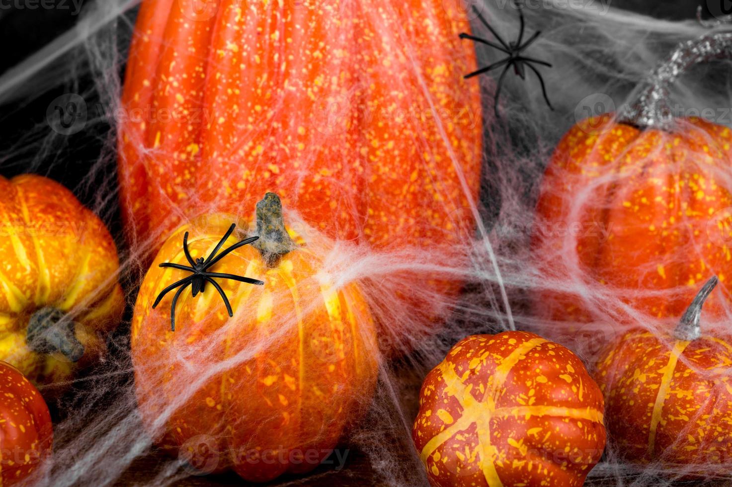 Front view spooky halloween banner with spide sitting on web covering pumpkins photo