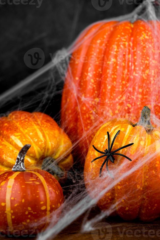 Closeup of Spider sitting on pumkin covered in web. Spooky Halloween background.Vertical banner photo