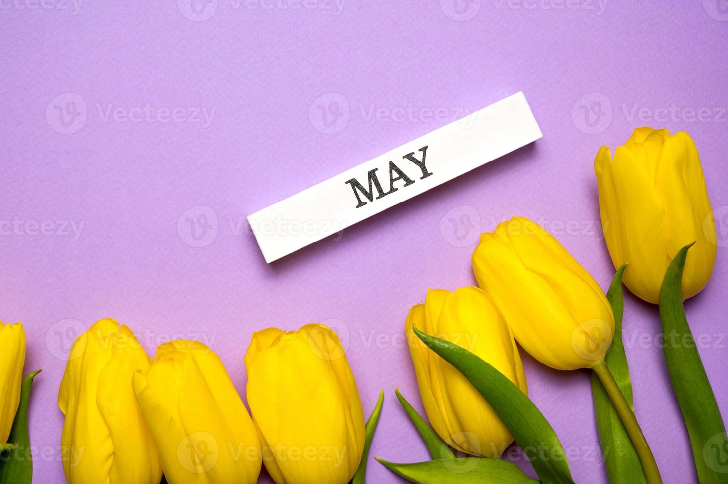 banner de primavera con tulipanes amarillos sobre fondo púrpura paset con mayo escrito en bloque de madera foto