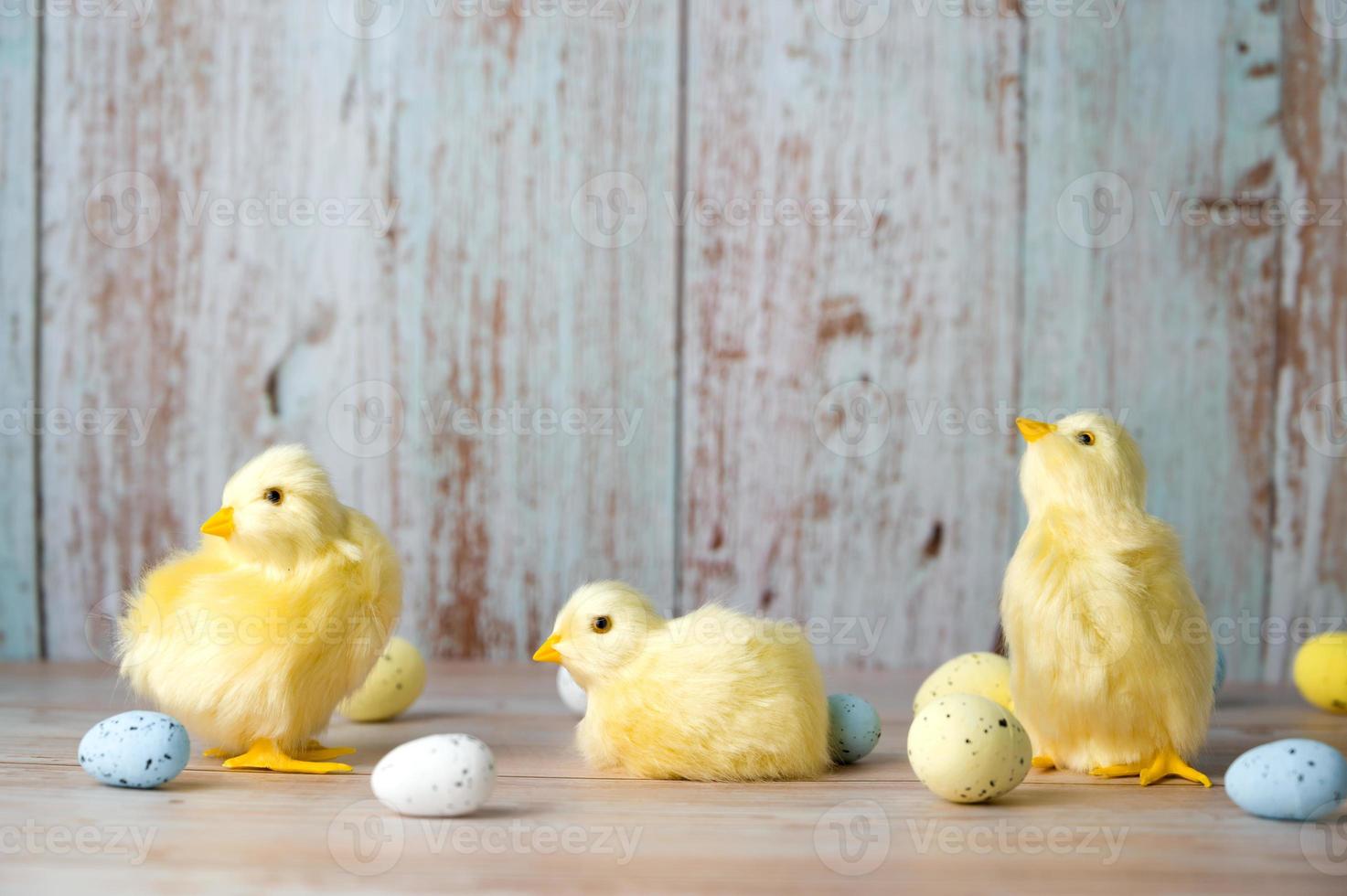 Easter greeting card with yellow chicken surrounded with white,yellow and blue egss. Banner with place for text photo