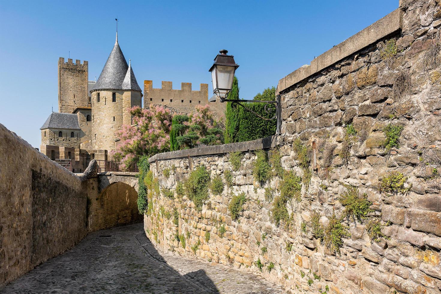 vista panorámica de la ciudad medieval de carcassonne y sus murallas en francia foto