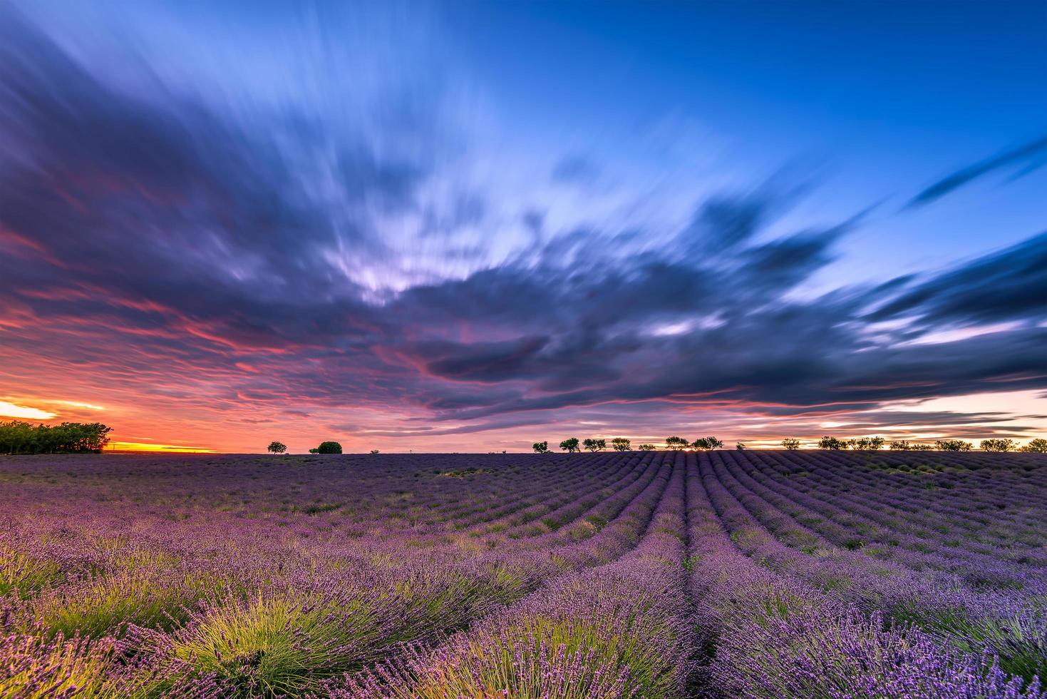 Scenic view of moving clouds over a lavender field in Provence at sunset photo