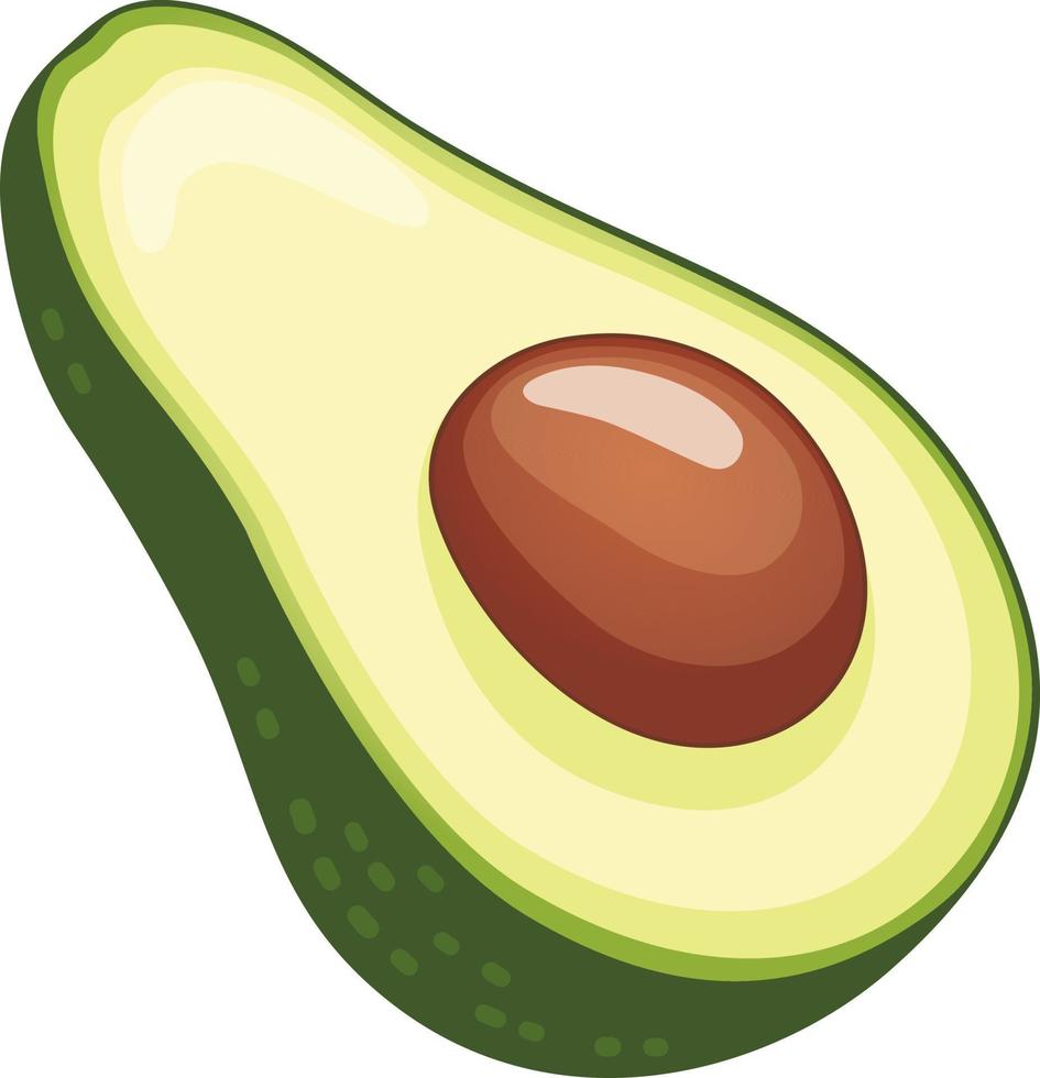 Half an avocado with a pit vector
