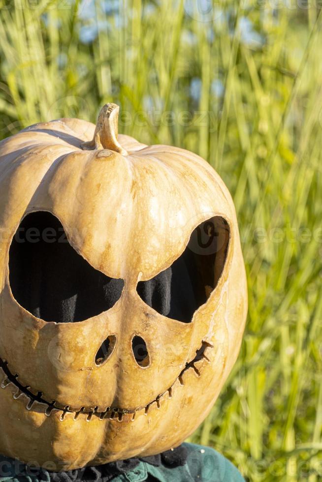 mujer joven con cabeza de calabaza después de cortarla y ponerle cara, halloween, foto