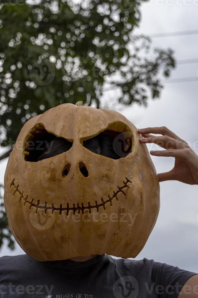 hands of old male farmer raises above his head large pumpkin on garden bed harvesting concept photo