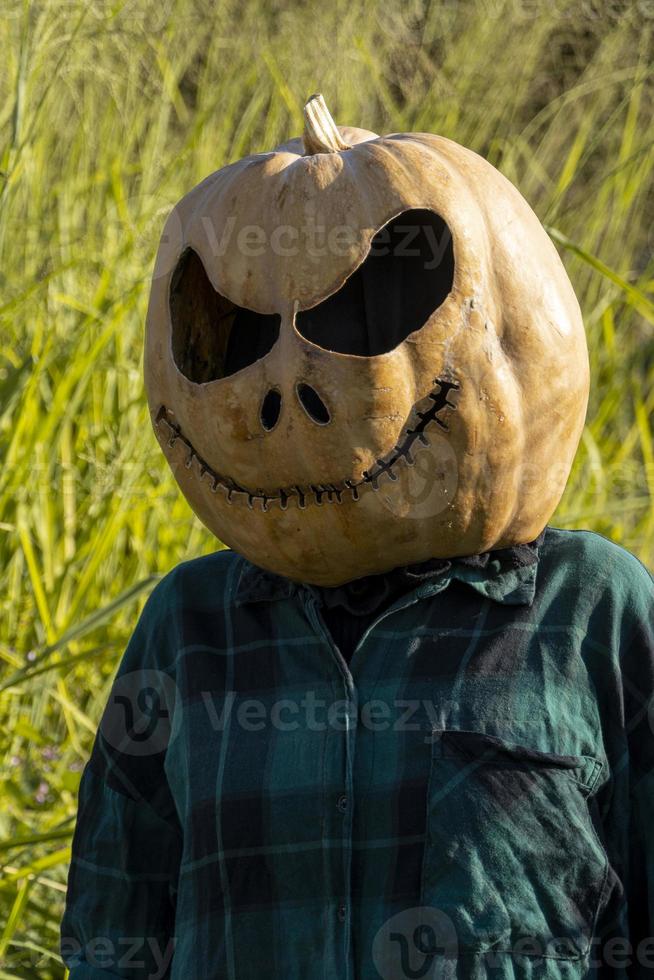 young woman with pumpkin head after cutting it off and putting a face on it, halloween, photo