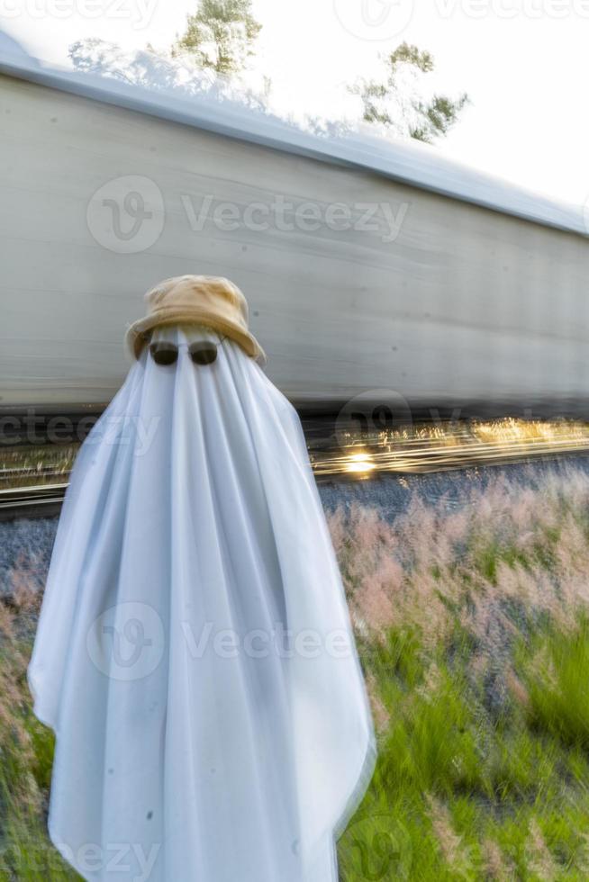 fantasma en el campo disfrutando del sol y el tren que pasa detrás, vías del tren foto