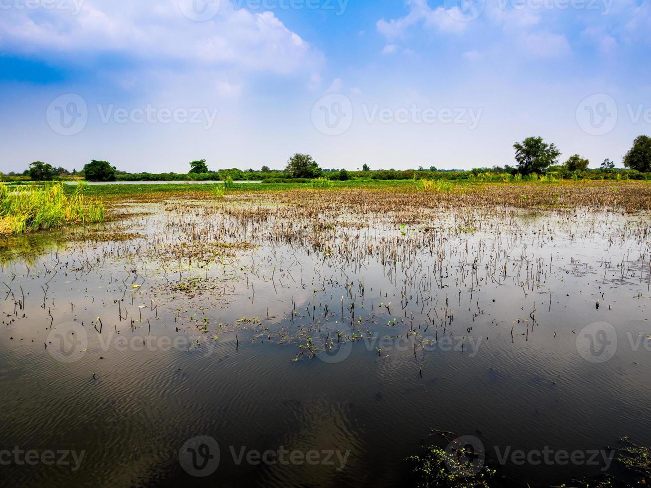 Reflection of sky on the water surface of wetland photo