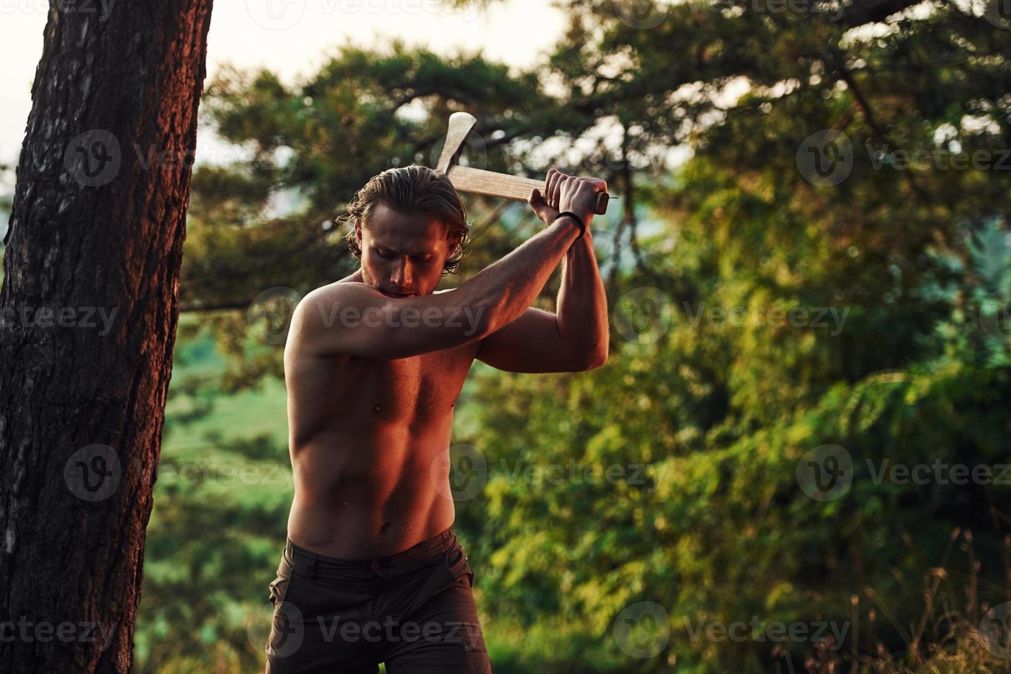 Process of cutting the tree by using the axe. Handsome shirtless man with muscular body type is in the forest at daytime photo