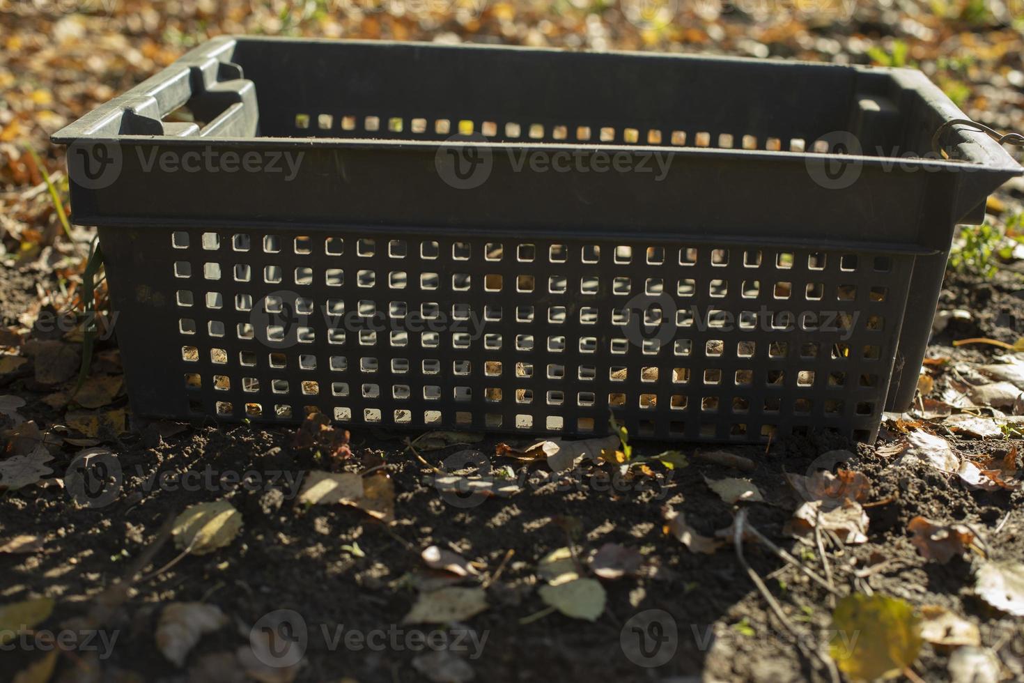 Basket for harvest in garden. Empty container for vegetables. Garden tools. photo