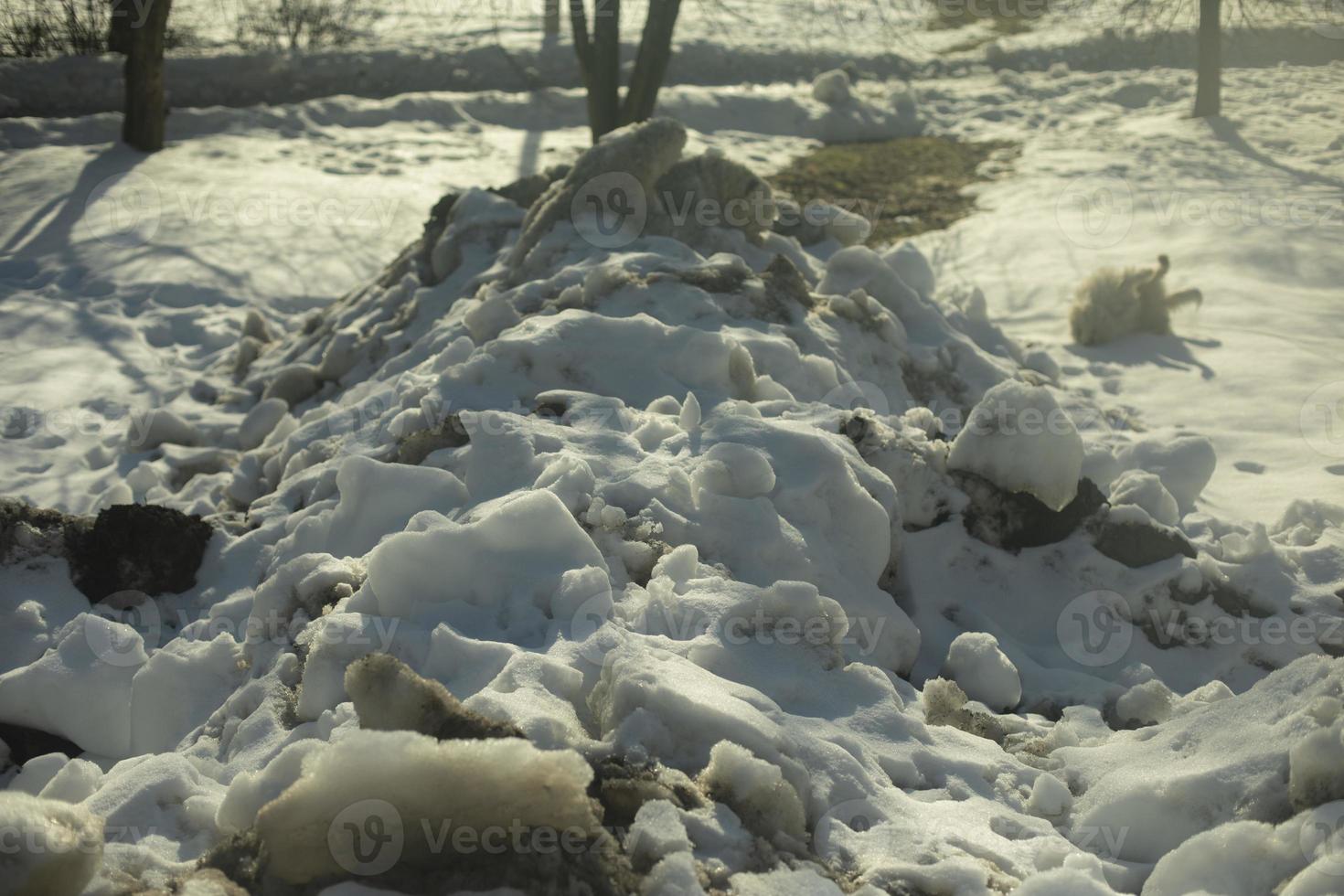 Snow removed from road. Pile of snow outside. Dirty roadside. photo