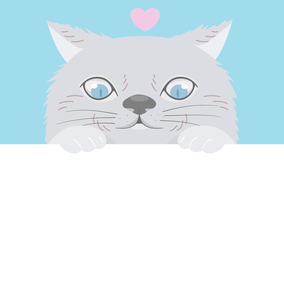 Persian cat looking at blank white space, flat vector illustration.