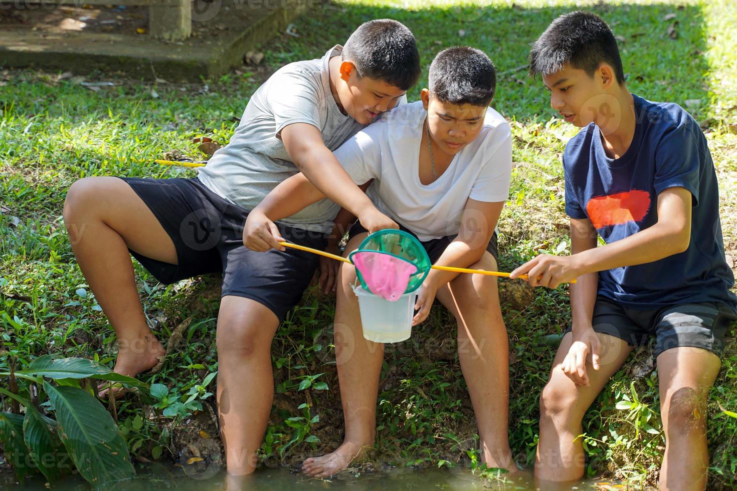 Asian boys group collect water samples and aquatic life to study ecosystems in community water resources. Soft and selective focus. photo