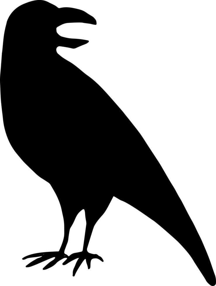 Black crow silhouette isolated on white background. Black bird. Raven isolated. Hand drawn vector art