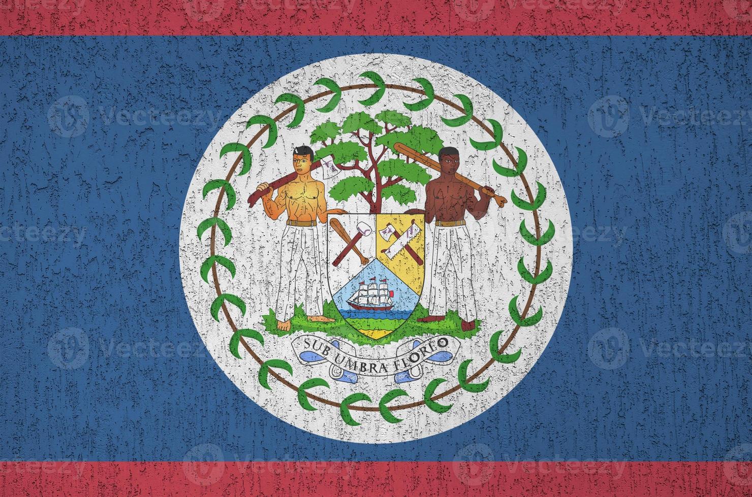 Belize flag depicted in bright paint colors on old relief plastering wall. Textured banner on rough background photo