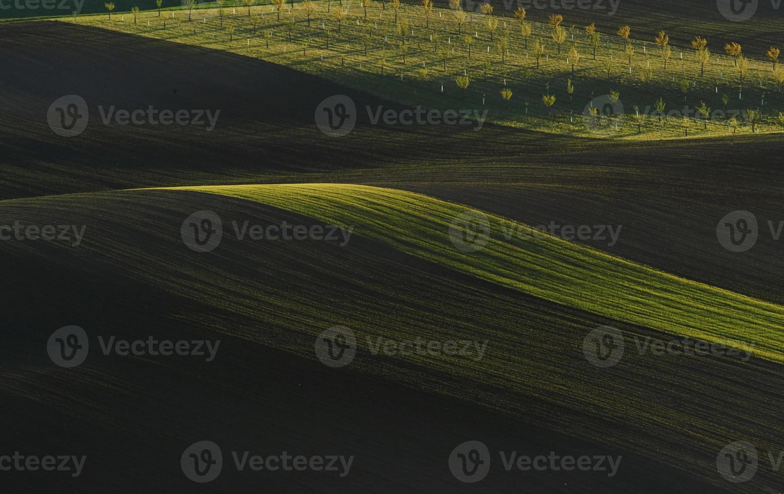 Rural scene. Green agricultural fields of Moravia at daytime. Nice weather 15196621 Stock Photo
