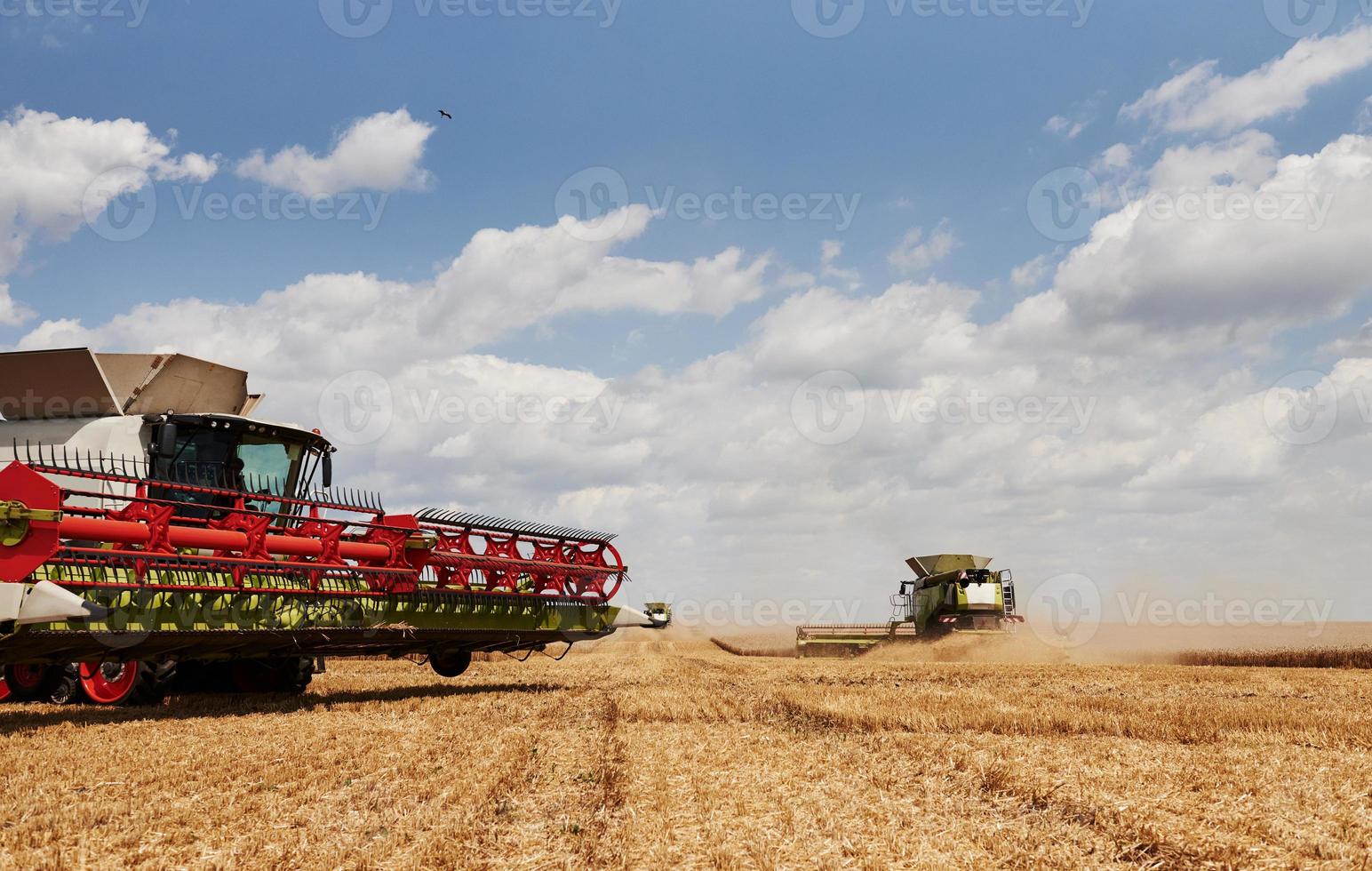 Large combine harvesters working in agriculturic field at summertime photo