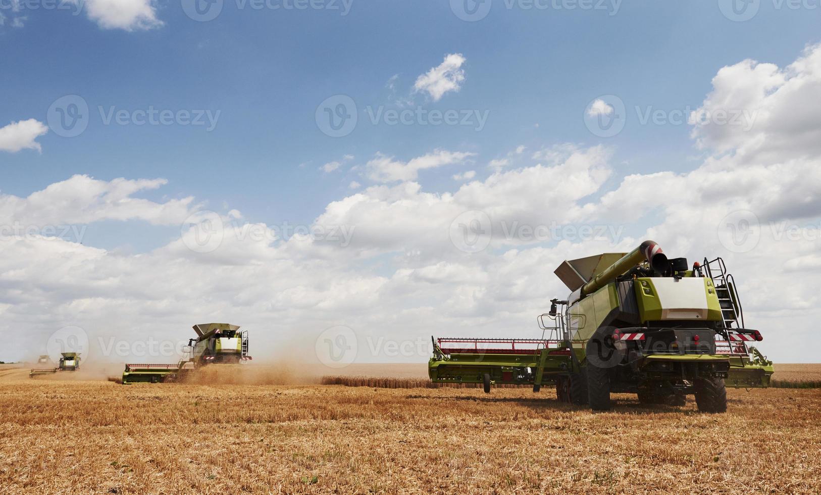 cosechadoras grandes que trabajan en el campo agrícola en verano foto