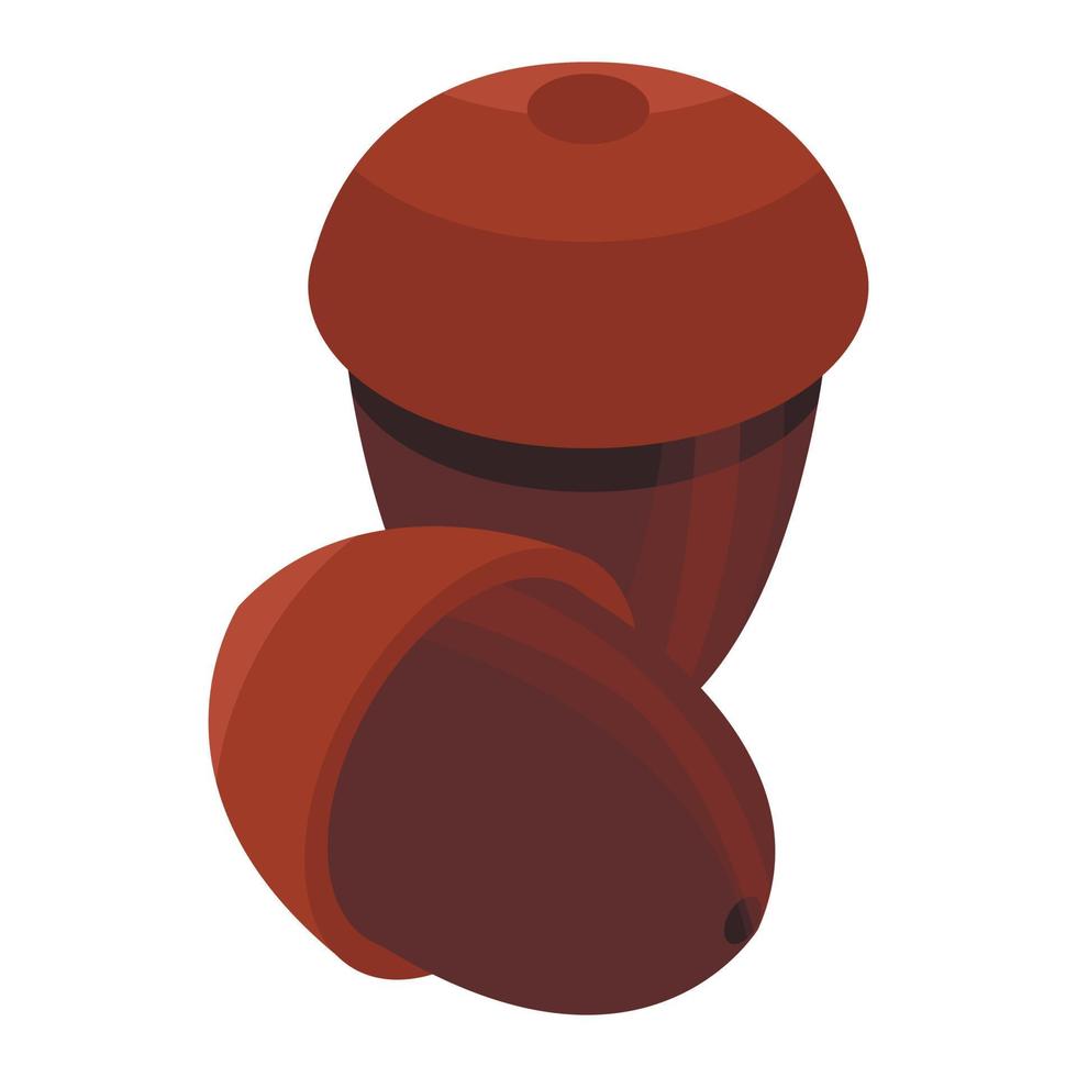 Oak nuts icon, isometric style vector