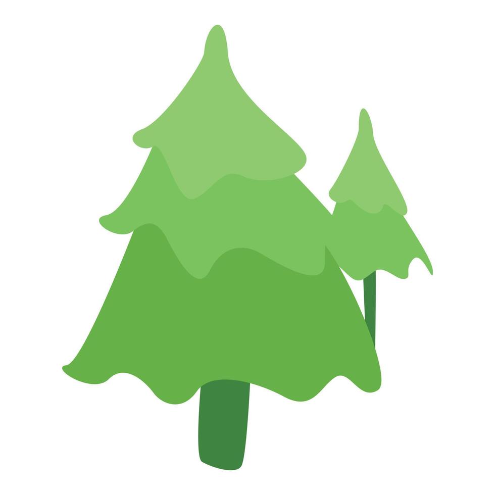 Forest fir tree icon, isometric style vector