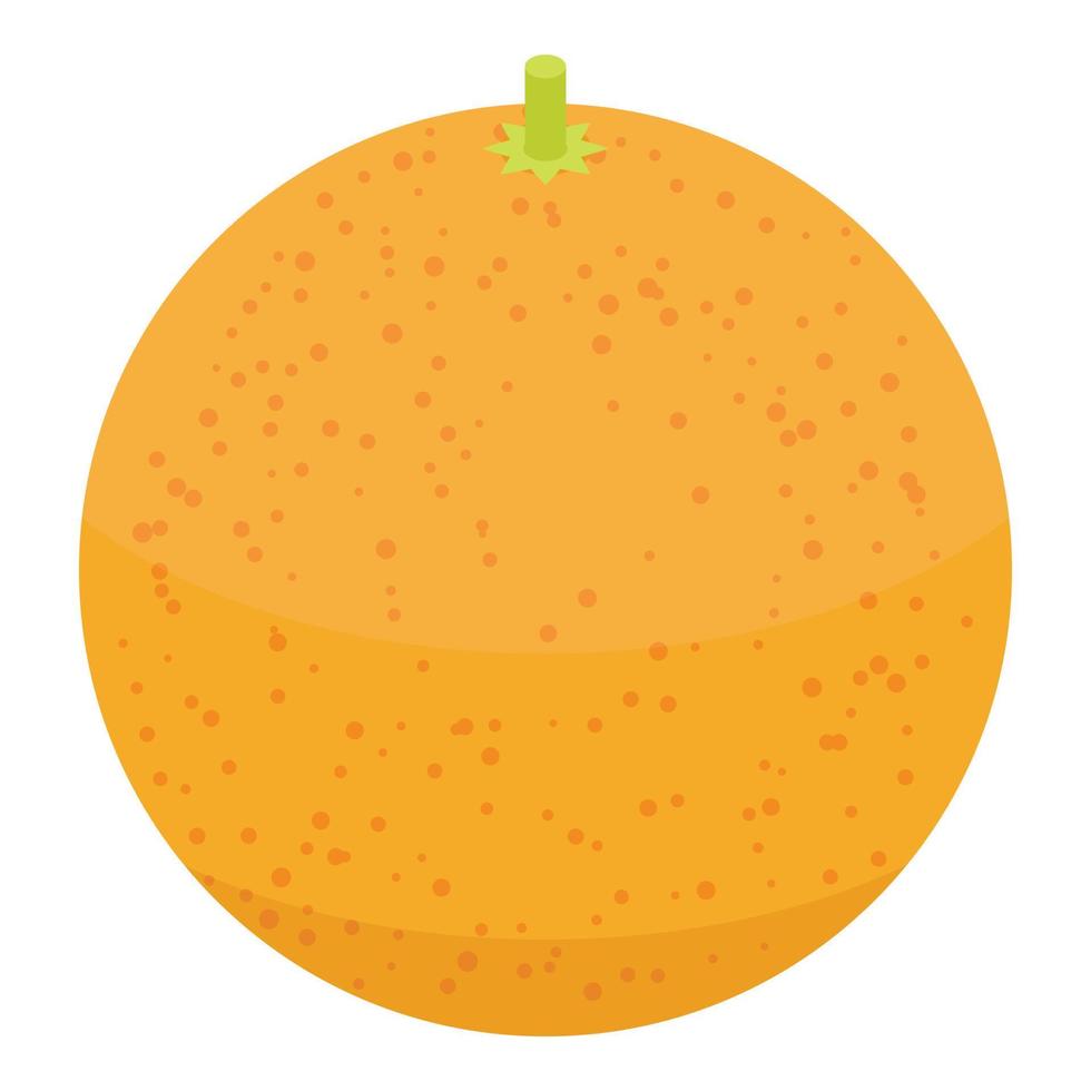 Whole grapefruit icon, isometric style vector