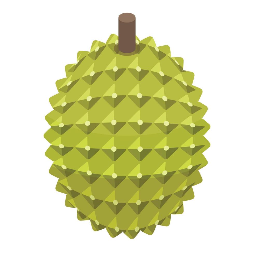 Whole durian icon, isometric style vector
