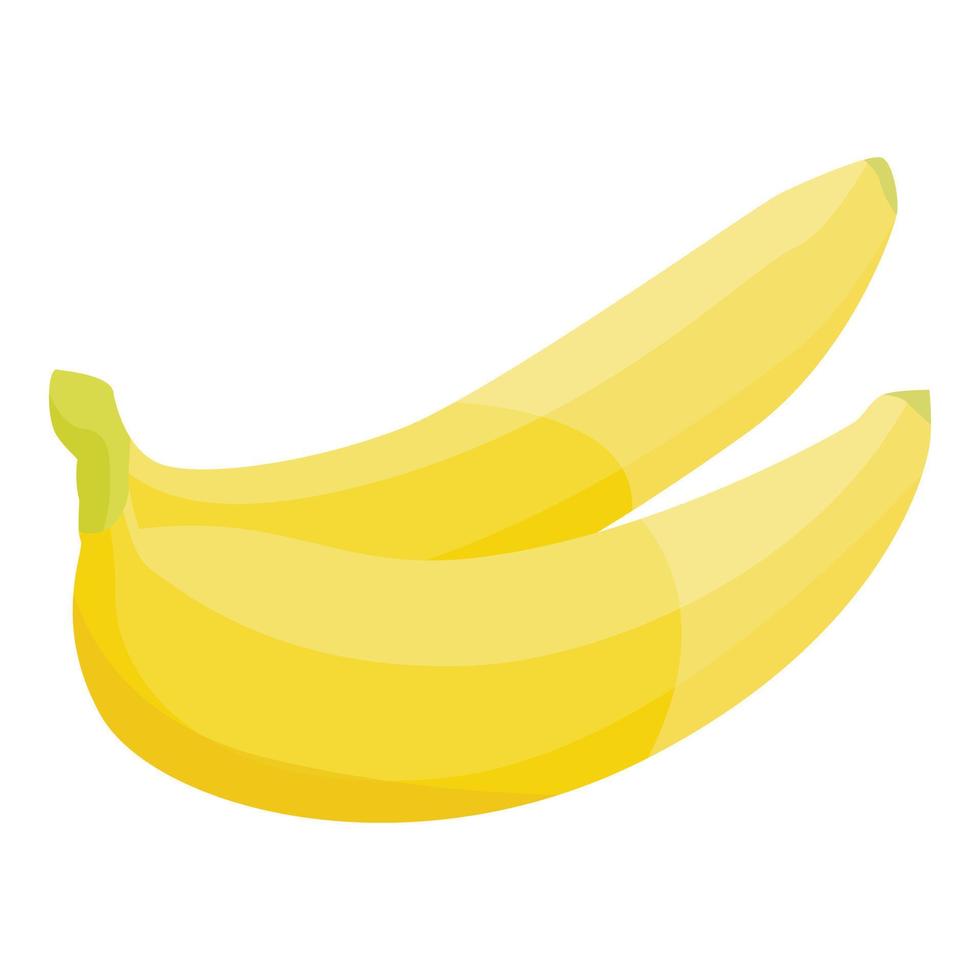 icono de rama de plátano, estilo isométrico vector
