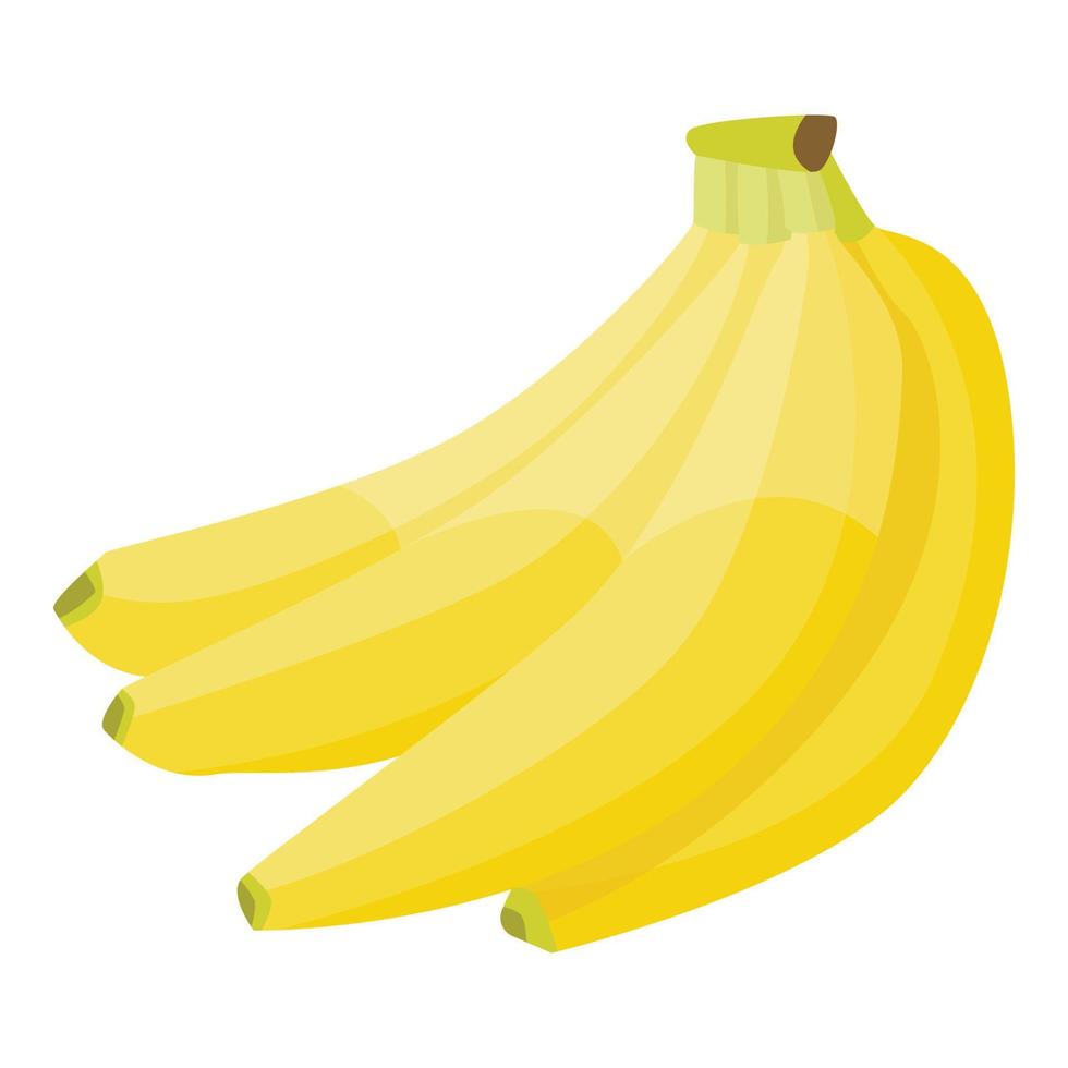 Fresh branch banana icon, isometric style vector